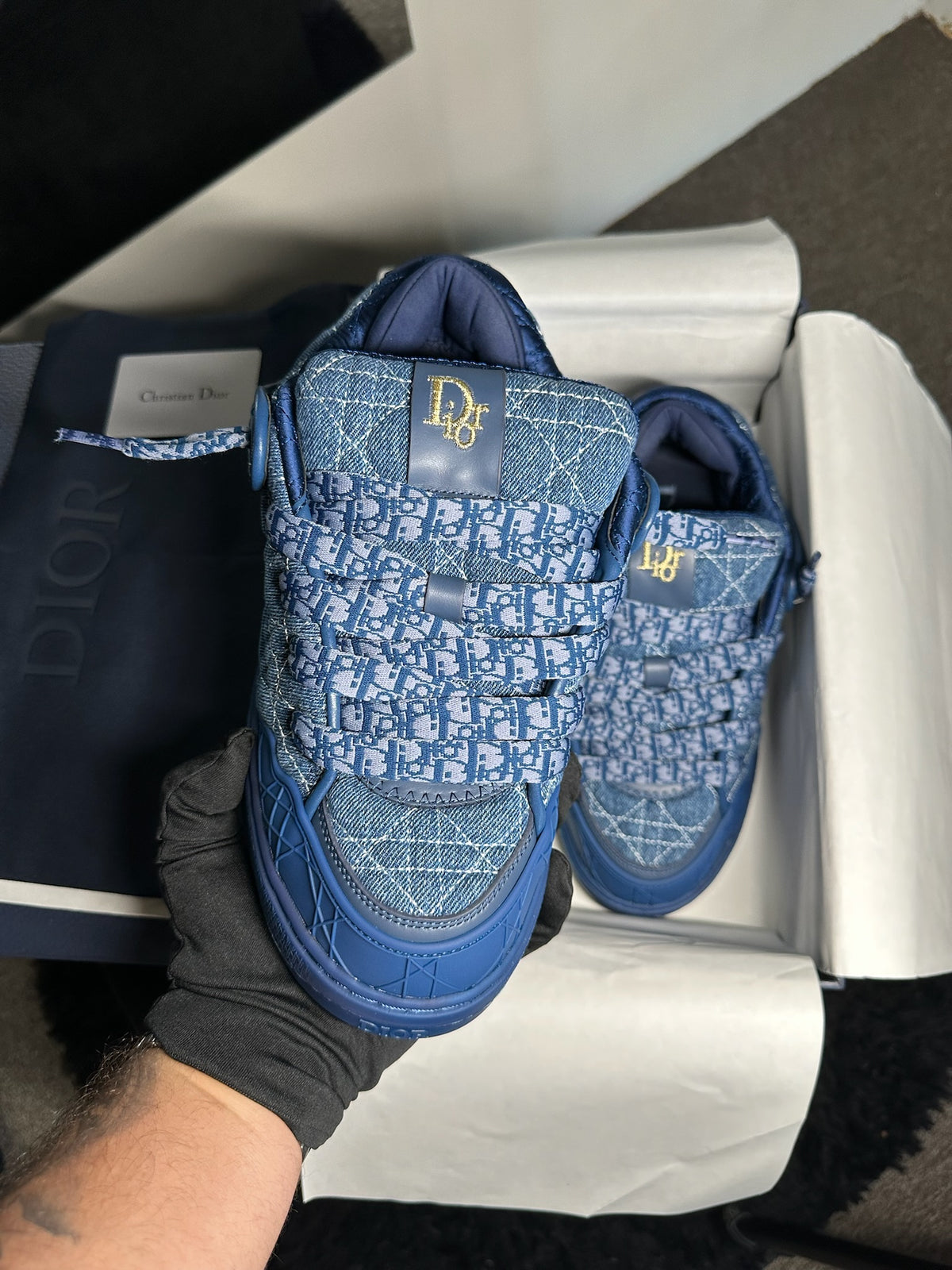 DIOR B9s