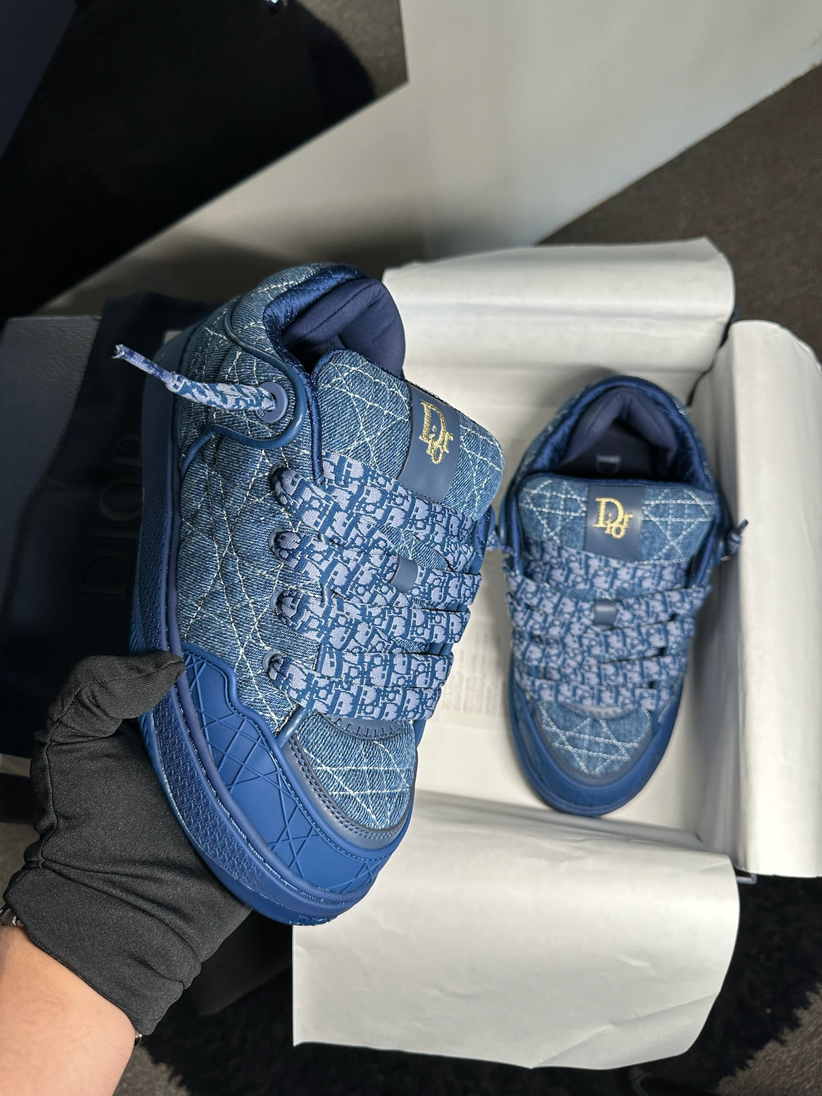 DIOR B9s
