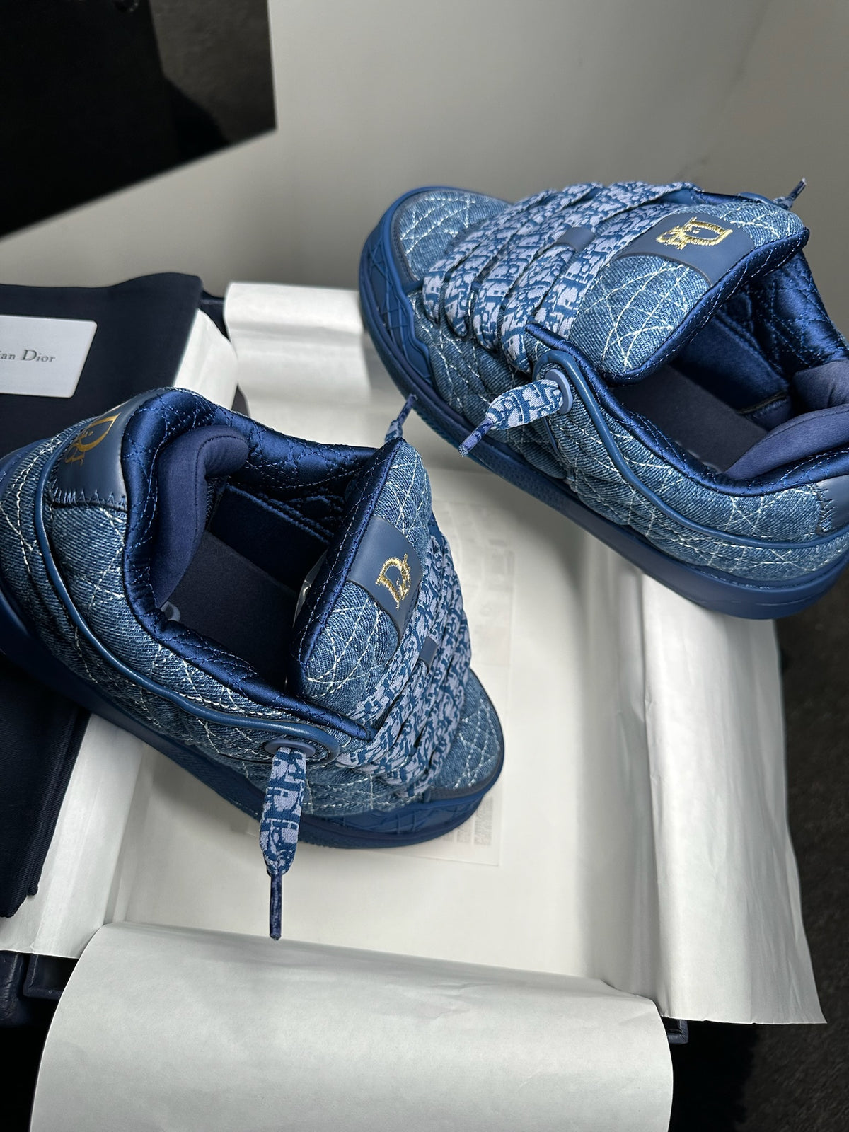 DIOR B9s